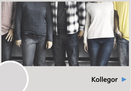 kollegor